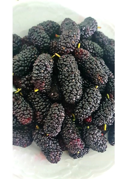 %100 Doğal Hatay Usulü Dut Şurubu 1 kg modelleri