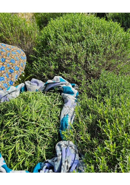 %100 Doğal Hatay Usulü Zeytinyağında Kekik 650 gr fırsatları