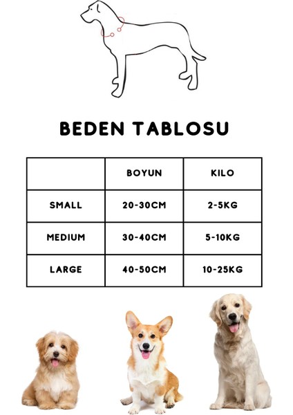 '' Çiko '' 3 Parça Köpek Tasması ve Gezdirme Seti - 1 Adet Rulo Dışkı Poşeti Hediyelidir