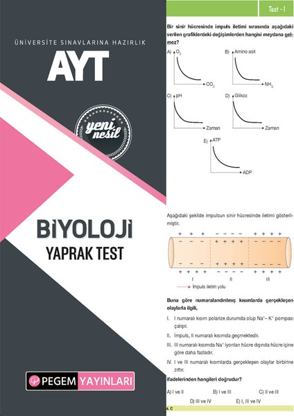 AYT Biyoloji Yaprak Test