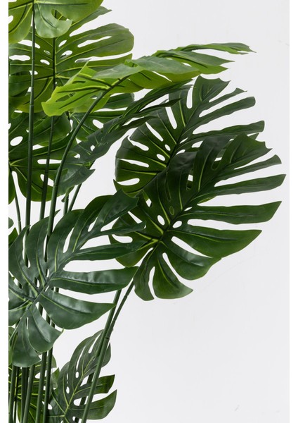 Yapay Devetabanı(Monstera) Ağacı 200 cm