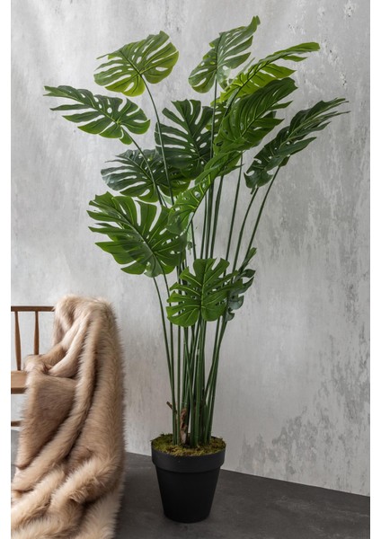 Yapay Devetabanı(Monstera) Ağacı 200 cm