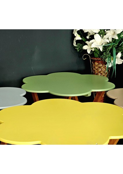 Çanta Sehpa Çiçek Model Ahşap Mdf Dekoratif 4 Lü Renkli Lake ve Rustik Kahverengi Eskitme Zigon