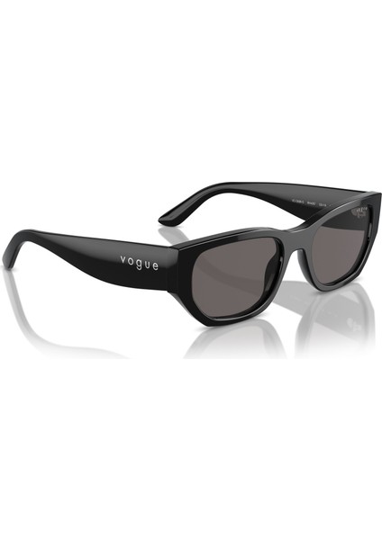 5586S W44/87 53 Güneş Gözlüğü modelleri