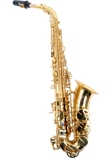 SDAS-2020 Alto Saksafon