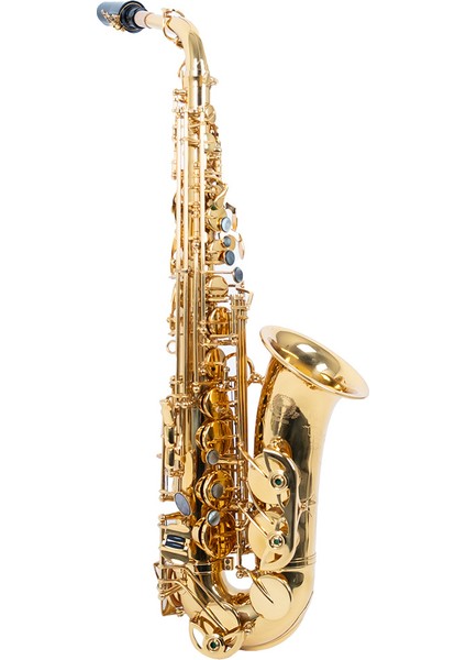 SDAS-2020 Alto Saksafon modelleri