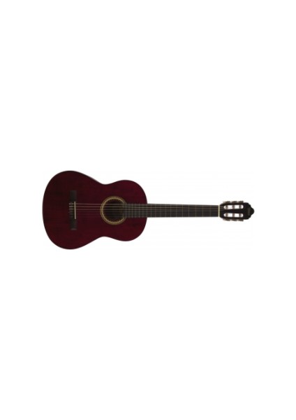 Valencıa VC204TWR 4/4 Mat Klasik Gitar