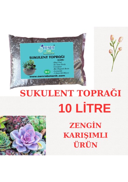 Sukulent Toprağı 10 Litre