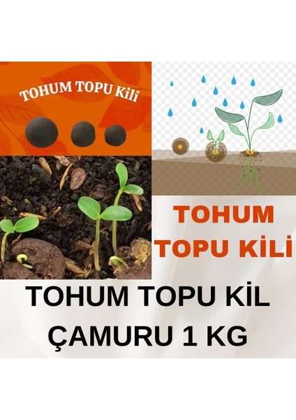 Tohum Topu Kilçamuru ( 1 kg )