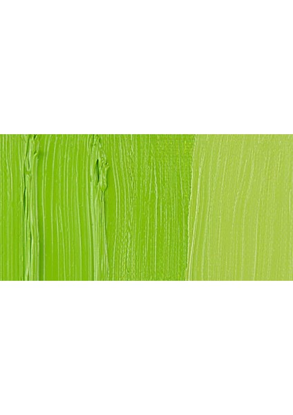 40 ml Yağlı Boya Seri 1 No 617 Yellowish Green