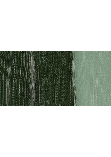 40 ml Yağlı Boya Seri 1 No 629 Green Earth