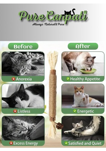 Matatabi Çubuğu (Mısır Kabuğu,hasır Ip,matatabi Meyveli) fırsatları