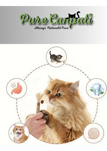 Matatabi Çubuğu (Mısır Kabuğu,hasır Ip,matatabi Meyveli) fiyatları