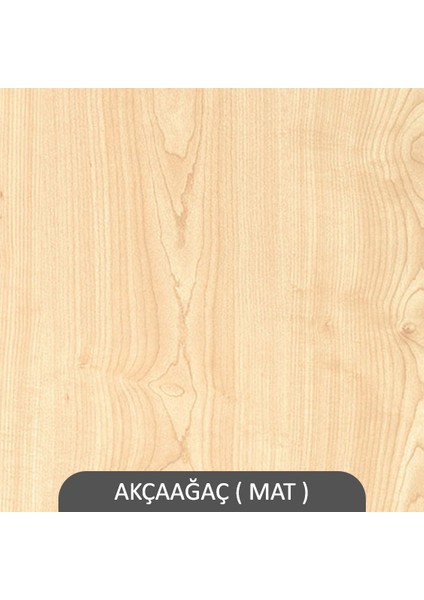 Caddy Duvar Raf Seti Akçaağaç ( Mat )