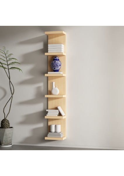 Nova Raf Seti Akçaağaç ( Mat )