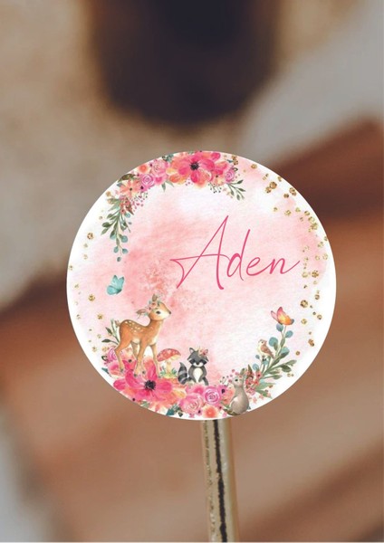 İsimli Yuvarlak Bebek Etiketleri, 96 adet, 4x4 cm, kişiye özel, sevimli tasarım