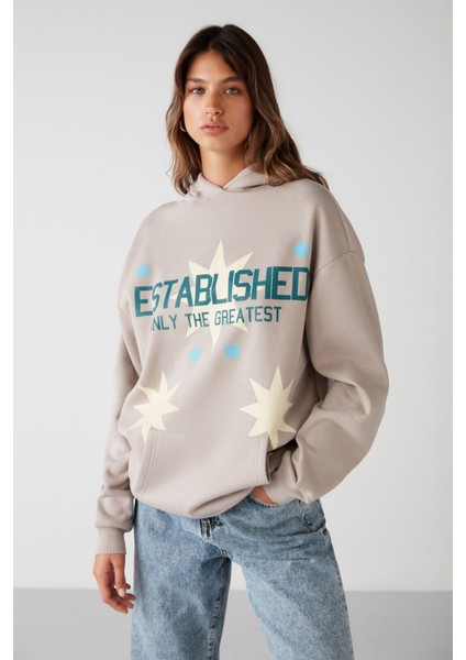 Establıshed Regular Relaxed Vizon Sweatshirt