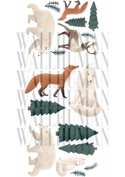 Renkli Yaban Hayatı Temalı Çocuk Odası Duvar Stickerı, Düz Desen, Bebek ve Çocuklar İçin fiyatları