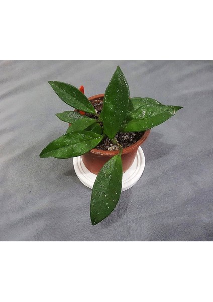 8,7cm Yuvarlak Tabak Bardak Altlığı, Mumluk, Sunumluk Silikon Kalıp K-1260 modelleri