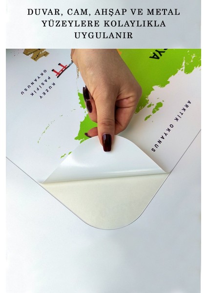 Renkli Dünya Haritası Duvar Stickeri, Çocuk ve Bebek Odası İçin Eğitici Dekorasyon indirimleri