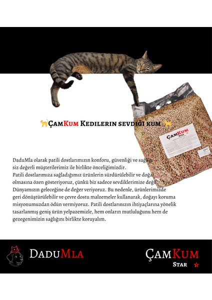 ÇamKum Star Tozsuz ve Topaklanan Doğal Kedi Kumu 7lt