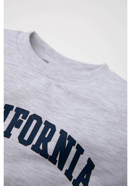 Erkek Bebek Gri Bisiklet Yaka Yazı Baskılı Sweatshirt D0698A524AU fiyatları