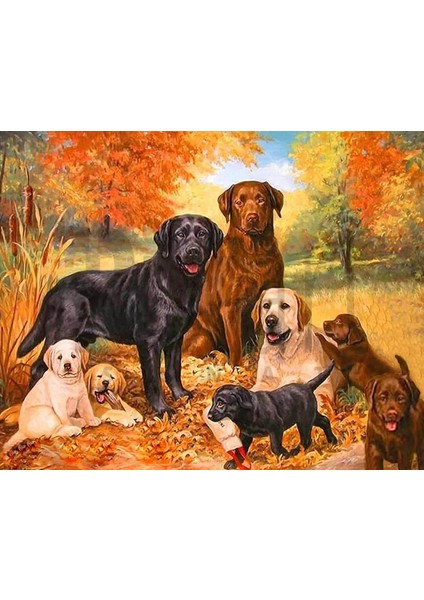 Köpek 30 x 40 cm Elmas Mozaik Tablo