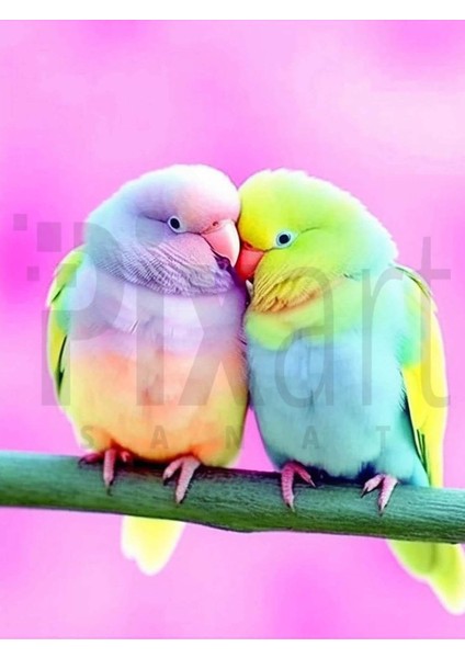 Renkli Kuş 30 x 40 cm Elmas Mozaik Tablo