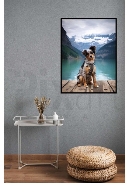 Boyama Seti Bir Köpek 30 x 40 cm Elmas Mozaik Tablo fiyatları