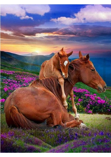 Tarlada Annesiyle Bir Tay 30 x 40 cm Elmas Mozaik Tablo