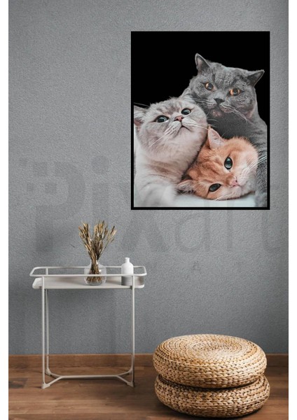 3 Kedi, 40 x 50 cm Elmas Mozaik Tablo modelleri