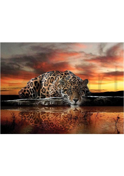 Gün Batımında Leopar 30 x 40 cm Elmas Mozaik Tablo