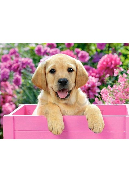 Pembe Bahçede Köpek 50 x 40 cm Elmas Mozaik Tablo