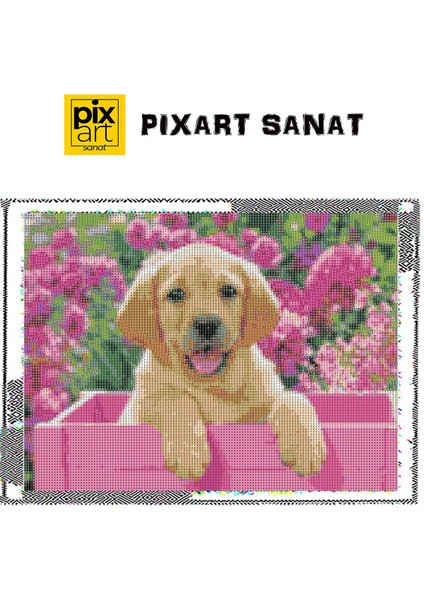 Pembe Bahçede Köpek 50 x 40 cm Elmas Mozaik Tablo fırsatları
