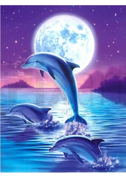 Ayın Arka Planına Karşı Yunuslar 30 x 40 cm Elmas Mozaik Tablo