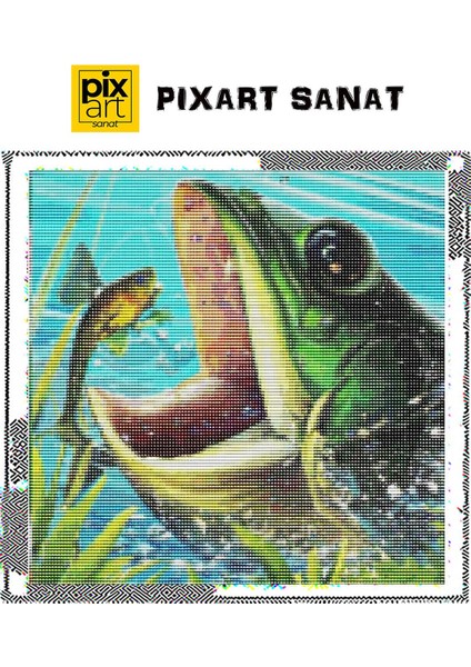 Kurbağa 30 x 30 cm Elmas Mozaik Tablo fırsatları