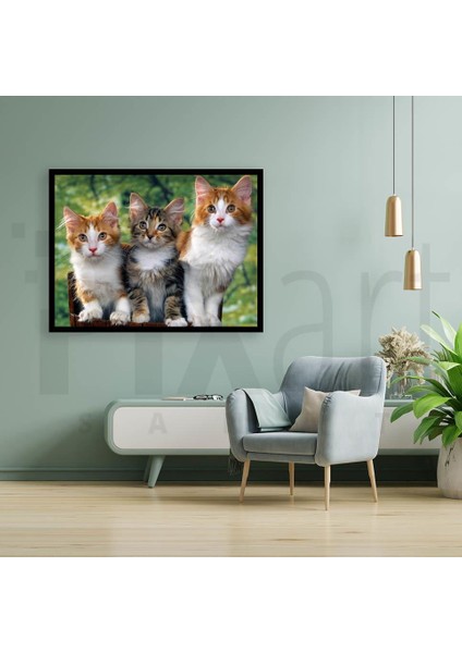 Üç Yavru Kedi 30 x 40 cm Elmas Mozaik Tablo fiyatları