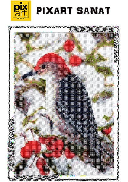 Noel Kuşu 30 x 40 cm Elmas Mozaik Tablo fırsatları