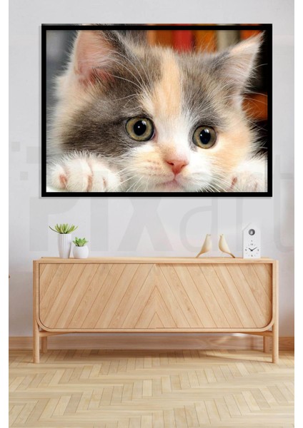 Sevimli Kedi 40 x 30 cm Elmas Mozaik Tablo modelleri