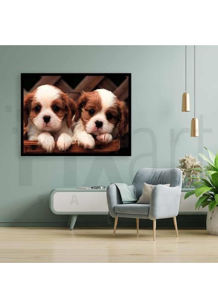 Iki Yavru Köpek 30 x 40 cm Elmas Mozaik Tablo