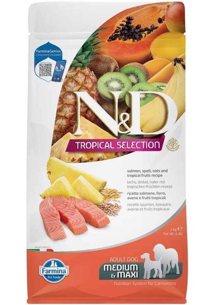 Tropical Selection Düşük Tahıllı Somonlu ve Tropikal Meyveli Orta ve Büyük Irk Yetişkin Köpek Maması 2kg