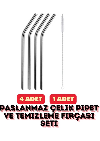 Sürdürülebilir Paslanmaz Çelik Pipet ve Temizleme Fırçası Seti 5 Parça