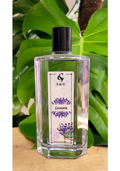 Lavanta Kolonyası 200 ml Cam Şişe