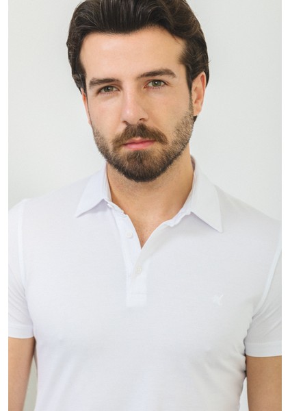 Düz Beyaz Renk Slim Fit Polo Yaka Basic Erkek T-Shirt fiyatları