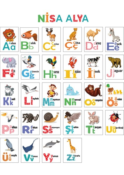Türkçe Alfabe 100x100 Cm, Renkli ve Eğlenceli Öğrenme Seti
