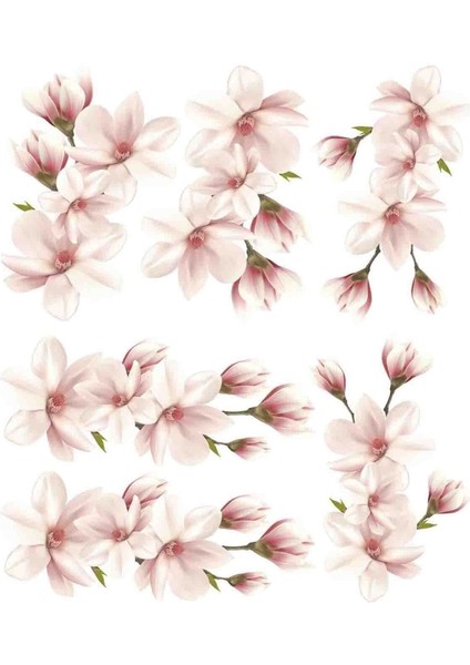 Muhteşem Soft Renk Çiçekler Royalty Duvar Sticker Seti modelleri