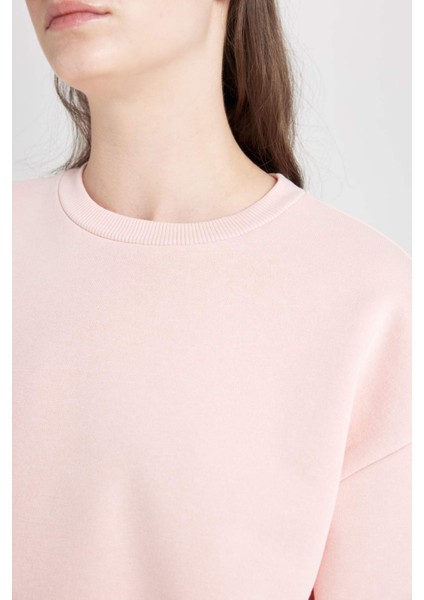 Regular Fit Bisiklet Yaka Kalın Basic Düz Sweatshirt D6645AX24WN