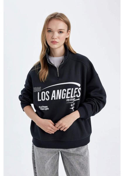 Loose Fit Yarım Fermuarlı Dik Yaka Baskılı Kalın Kumaş Sweatshirt D7013AX24WN