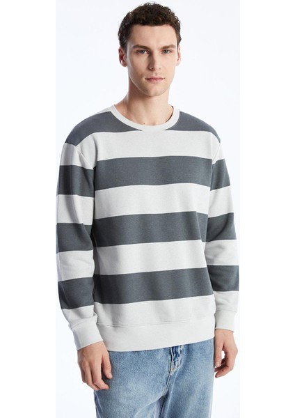 Lcw Casual Bisiklet Yaka Uzun Kollu Çizgili Erkek Sweatshirt