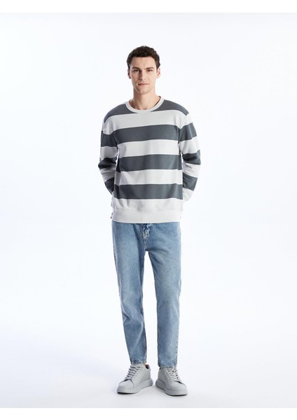Lcw Casual Bisiklet Yaka Uzun Kollu Çizgili Erkek Sweatshirt fiyatları